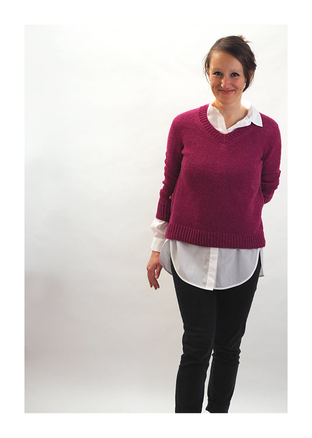 V - BASICS - Anleitungsheft, nur deutsche Ausgabe -