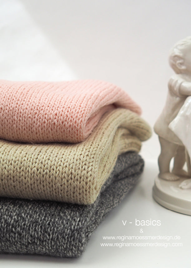 V - BASICS - Anleitungsheft, nur deutsche Ausgabe -